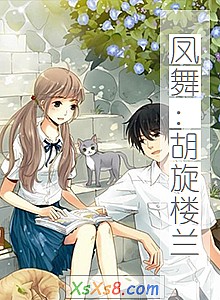 《凤舞:胡旋楼兰》小说封面