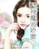 《神魔追~妻》小说封面
