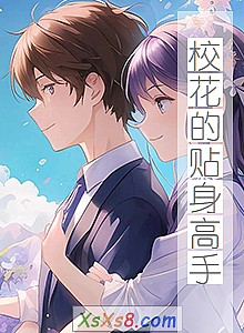 《校花的贴身高手》小说封面