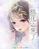 《桃花运来了》小说封面