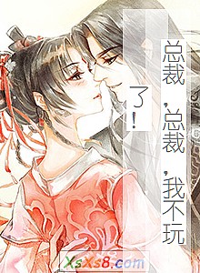 《总裁,总裁,我不玩了!》小说封面