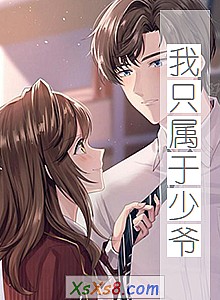 《我只属于少爷》小说封面