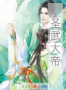 《圣武大帝》小说封面