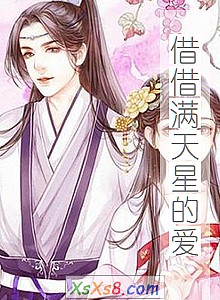 《借借满天星的爱》小说封面