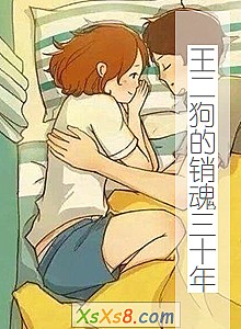 ʮ꡷С˵