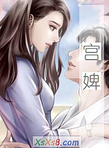 《宫婢》小说封面