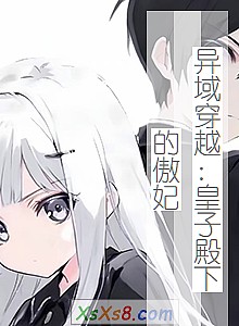 《异域穿越:皇子殿下的傲妃》小说封面