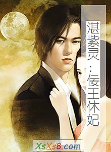 《湛紫灵:佞王休妃》小说封面