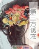 《第三方诱惑》小说封面
