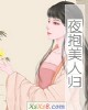 《夜抱美人归》小说封面