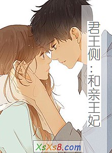 《君王侧:和亲王妃》小说封面