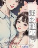 《野乡邪少》小说封面