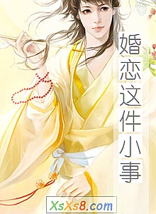 《婚恋这件小事》小说封面