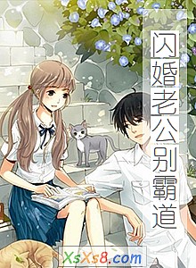 《闪婚老公别霸道》小说封面