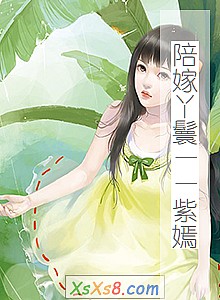 《陪嫁丫鬟——紫嫣》小说封面