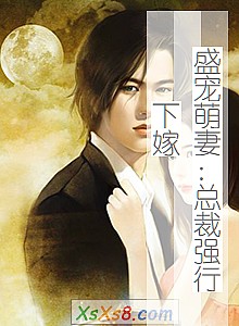 《盛宠萌妻:总裁强行下嫁》小说封面