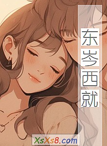 《东岑西就》小说封面
