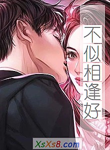 《不似相逢好》小说封面