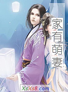《家有萌妻》小说封面