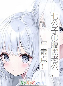 《七公子①腹黑老公,严肃点!》小说封面