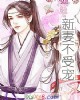 《新妻不受宠》小说封面