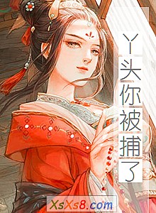 《丫头你被捕了》小说封面