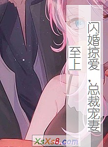 《闪婚掠爱,总裁宠妻至上》小说封面