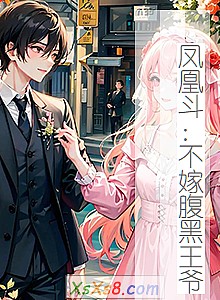 《凤凰斗:不嫁腹黑王爷》小说封面