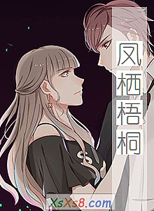 《凤栖梧桐》小说封面