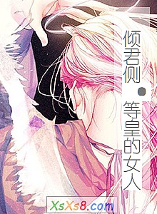 《倾君侧·等皇的女人》小说封面