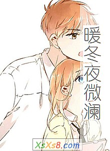 《暖冬夜微澜(出版上市)》小说封面
