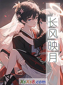 《长风映月》小说封面