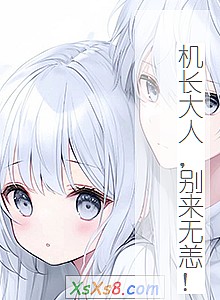 《机长大人,别来无恙!》小说封面