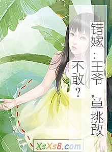 《错嫁:王爷,单挑敢不敢?》小说封面