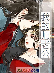 《我的帅老公》小说封面