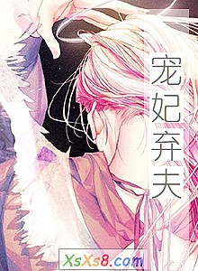 《宠妃弃夫》小说封面