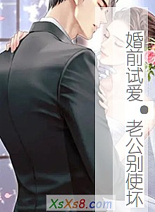 《婚前试爱·老公别使坏》小说封面