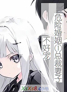 《危险婚姻①总裁妻子不好宠》小说封面