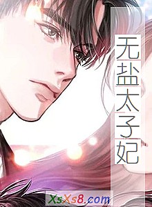 《无盐太子妃》小说封面