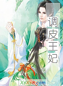 《调皮王妃》小说封面