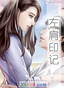 《左肩印记》小说封面