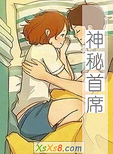 《神秘首席》小说封面