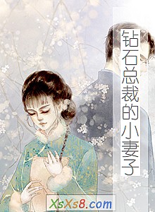 《钻石总裁的小妻子》小说封面