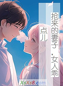 《抢来的妻子,女人乖点儿》小说封面