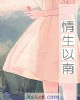《情生以南》小说封面