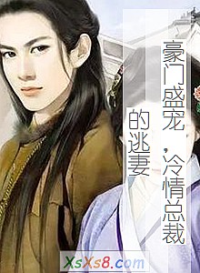 《豪门盛宠,冷情总裁的逃妻》小说封面