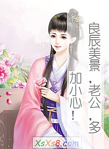 《良辰美景,老公,多加小心!》小说封面