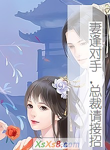 《妻逢对手,总裁请接招》小说封面