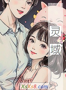 《灵域》小说封面