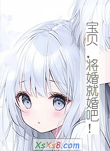 《宝贝,将婚就婚吧!》小说封面